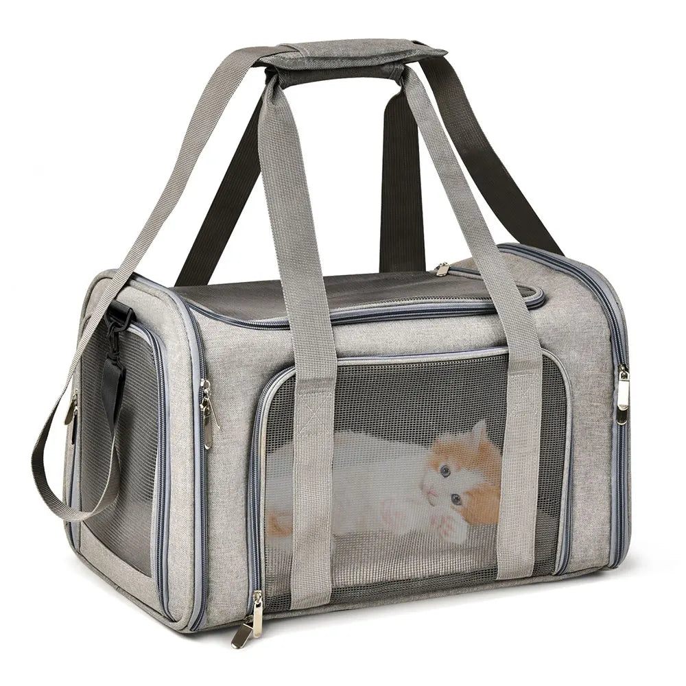 ROVÉ Airline Carrier