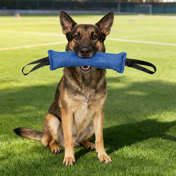 ROVÉ Tug Toy