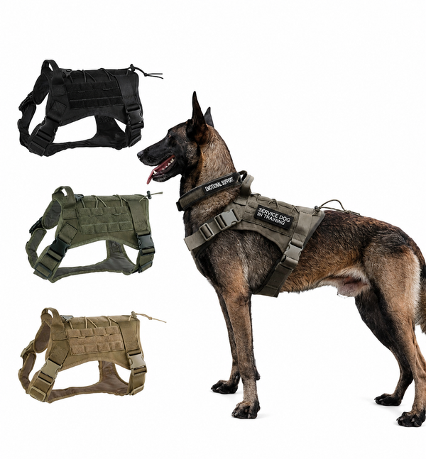 ROVÉ Tactical Harness