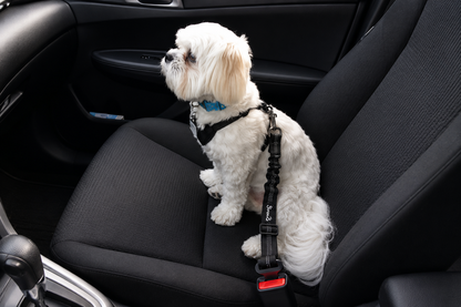 ROVÉ Seat Belt
