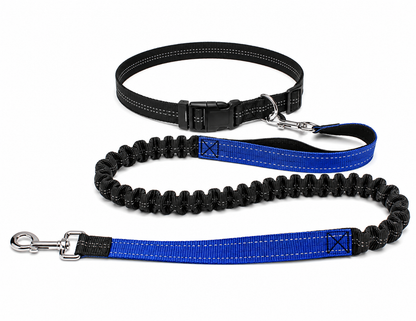 ROVÉ Hands-Free Leash