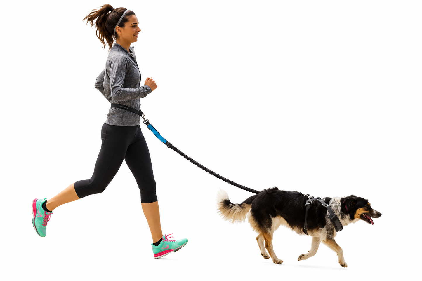 ROVÉ Hands-Free Leash