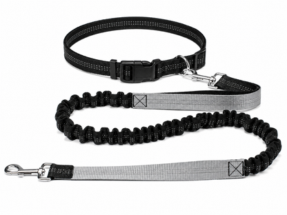 ROVÉ Hands-Free Leash