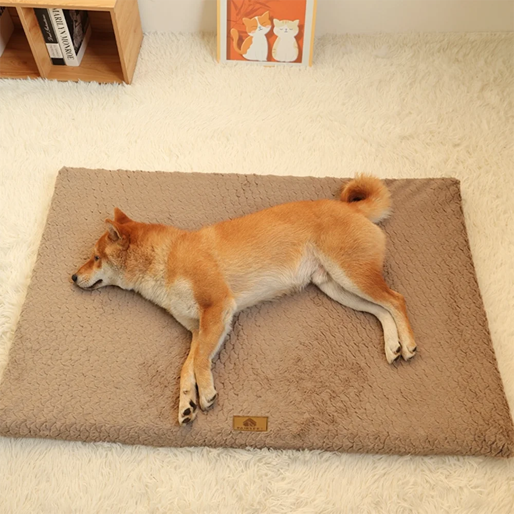 ROVÉ Orthopedic Bed