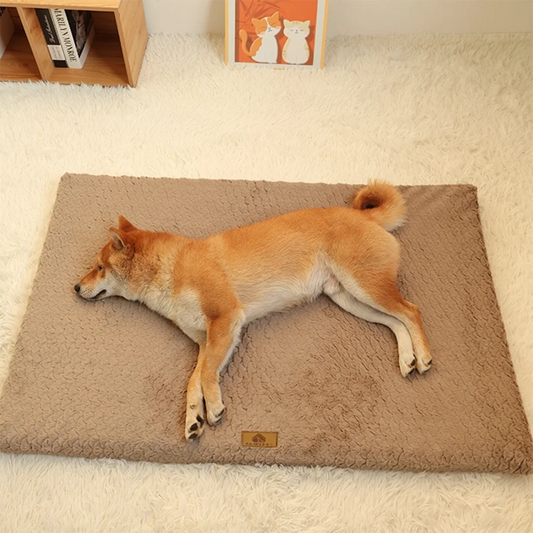 ROVÉ Orthopedic Bed