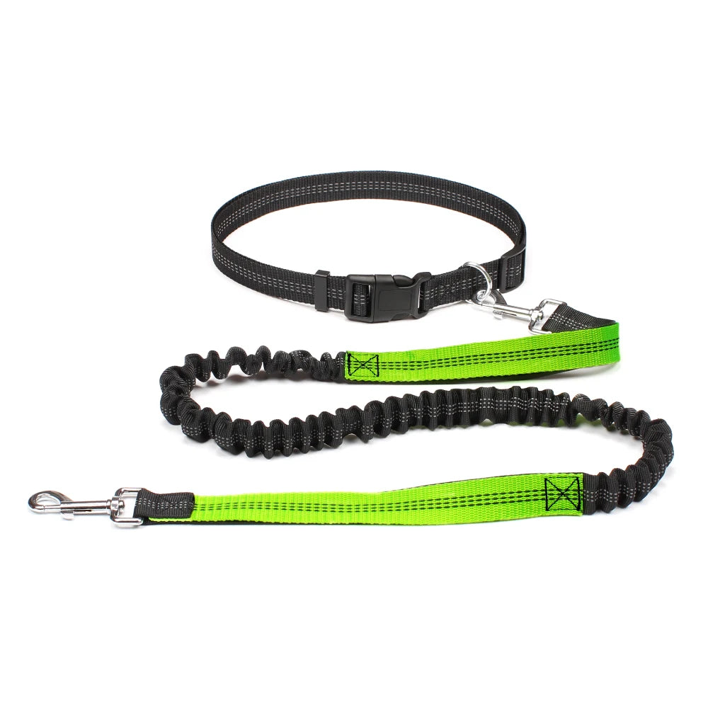 ROVÉ Hands-Free Leash