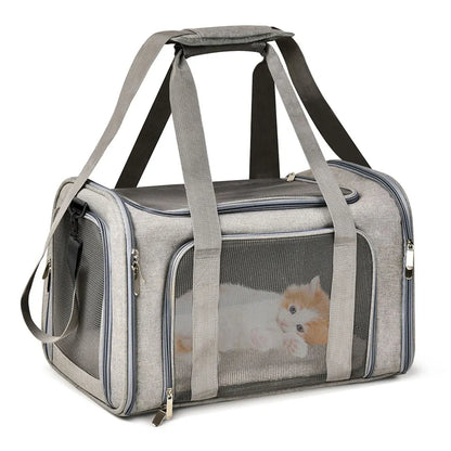 ROVÉ Airline Carrier