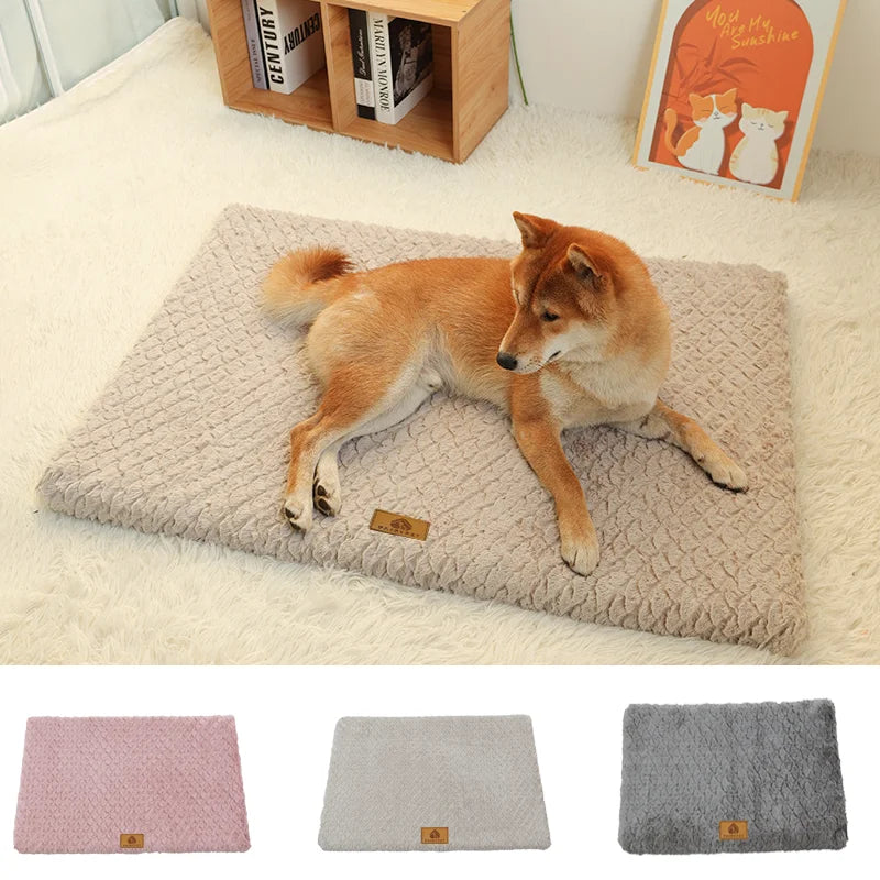 ROVÉ Orthopedic Bed for dogs