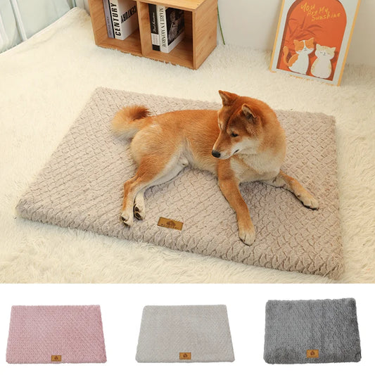 ROVÉ Orthopedic Bed for dogs