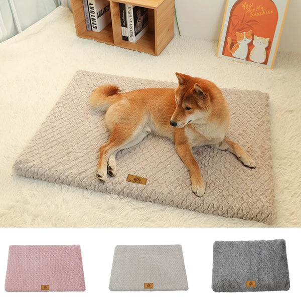 ROVÉ Orthopedic Bed