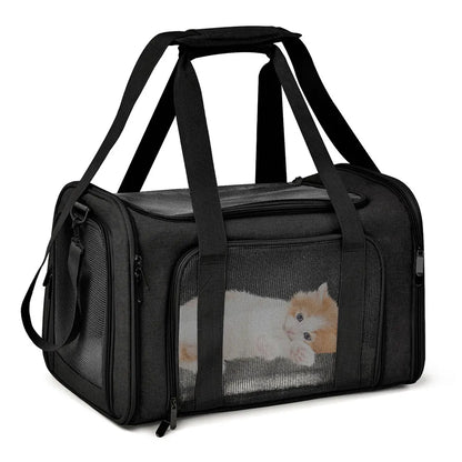 ROVÉ Airline Carrier