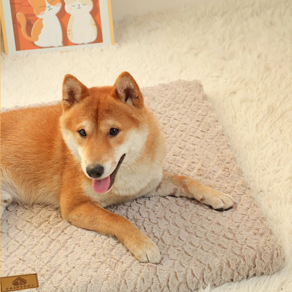 ROVÉ Orthopedic Bed