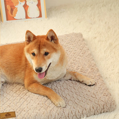 ROVÉ Orthopedic Bed