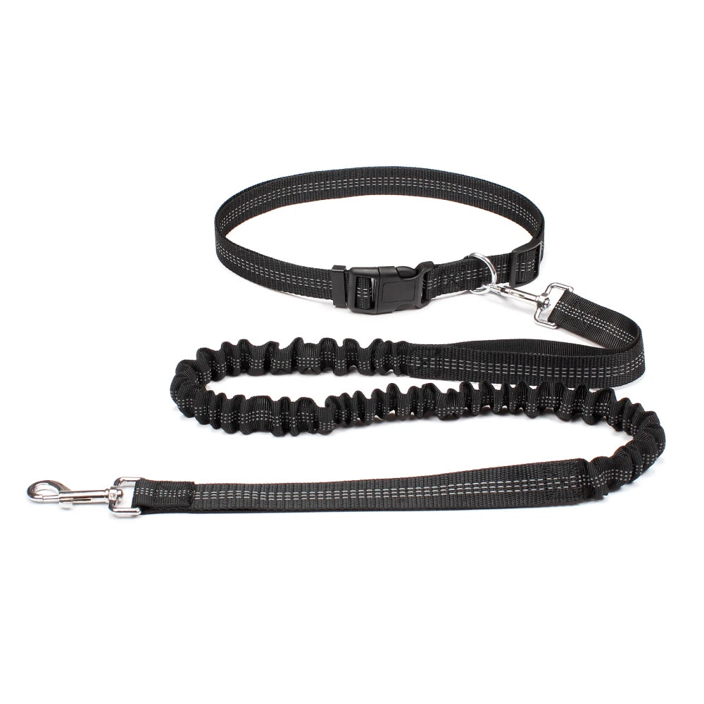 ROVÉ Hands-Free Leash