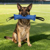 ROVÉ Tug Toy dog training toy