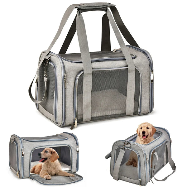 ROVÉ Airline Carrier
